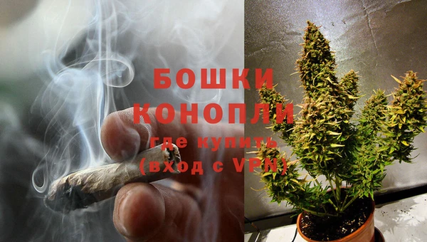 PSILOCYBIN Белокуриха