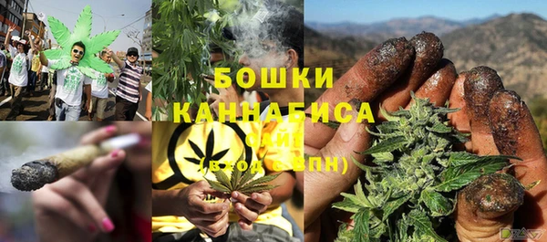 PSILOCYBIN Белокуриха